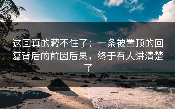 这回真的藏不住了：一条被置顶的回复背后的前因后果，终于有人讲清楚了