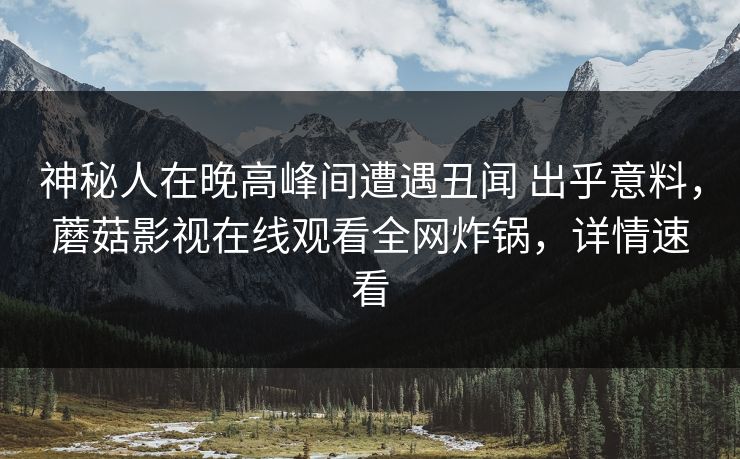 神秘人在晚高峰间遭遇丑闻 出乎意料,蘑菇影视在线观看全网炸锅,详情速看 神秘人在晚高峰间遭遇丑闻 出乎意料,蘑菇影视在线观看全网炸锅,详情速看