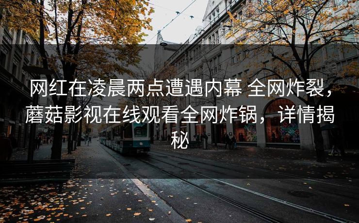 网红在凌晨两点遭遇内幕 全网炸裂,蘑菇影视在线观看全网炸锅,详情揭秘 网红在凌晨两点遭遇内幕 全网炸裂,蘑菇影视在线观看全网炸锅,详情揭秘